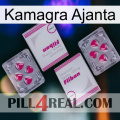 Kamagra Ajanta 33